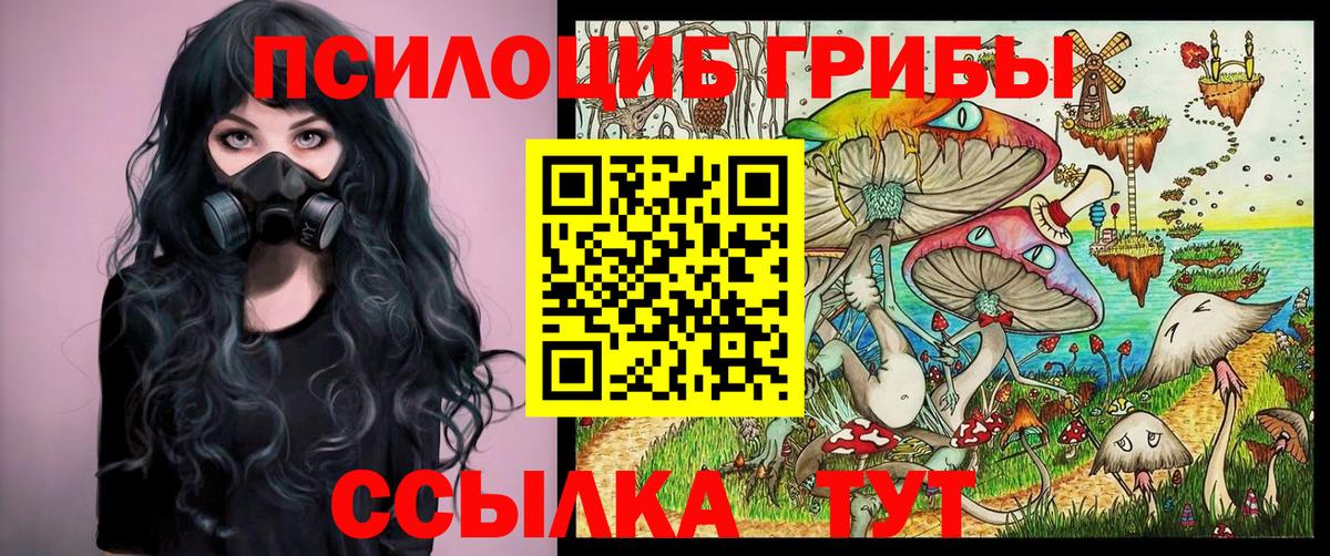Братск  даркнет сайт  Вход с VPN  Галлюциногенные грибы Psilocybe 